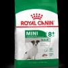 royal dog mini adult +8 anni 800gr shn1056