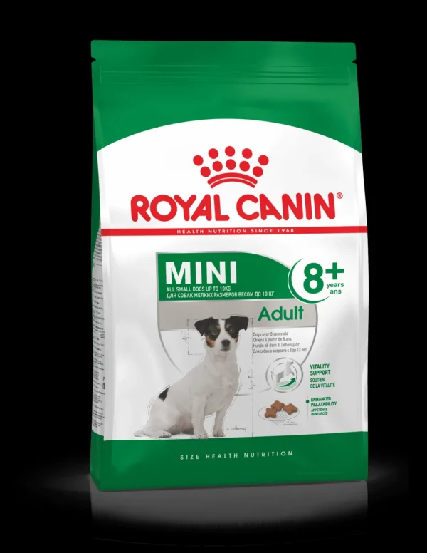 royal dog mini adult +8 anni 800gr shn1056
