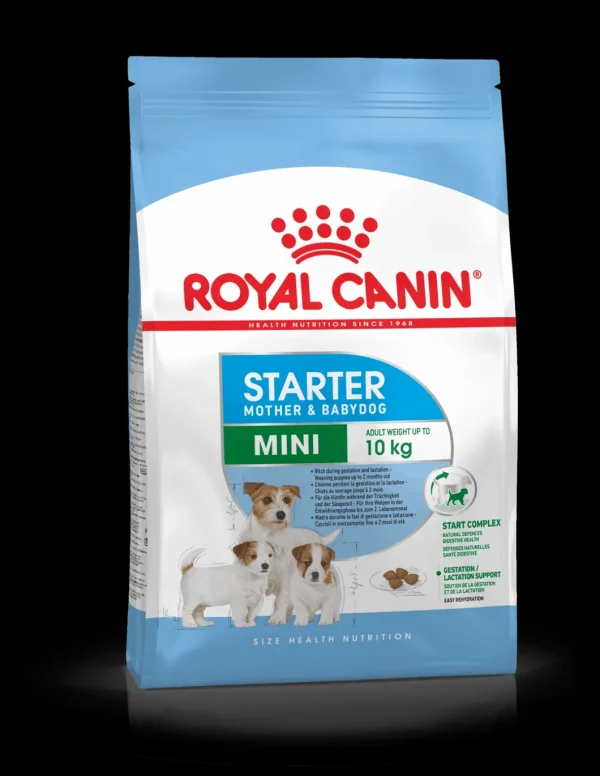 royal dog mini starter mother&babydog 1kg shn1366