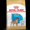 royal dog r.boxer puppy 12kg bhn1567