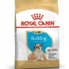 royal dog r.bulldog inglese puppy 12kg bhn1570