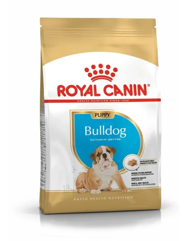 royal dog r.bulldog inglese puppy 12kg bhn1570