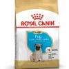 royal dog r.carlino puppy 500gr bhn1592