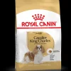 royal dog r.cavalier king adulto 7,5kg bhn1551
