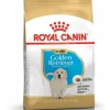 royal dog r.golden retriever puppy 3kg bhn1574
