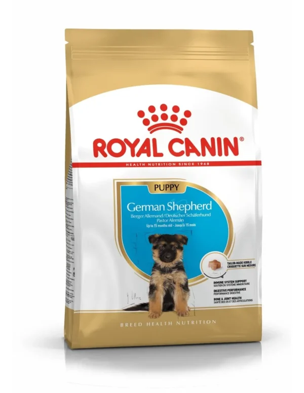 royal dog r.pastore tedesco puppy 3kg bhn1559