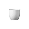tarvisium vaso basel full color 21cm col.0050 kc069.021.0050