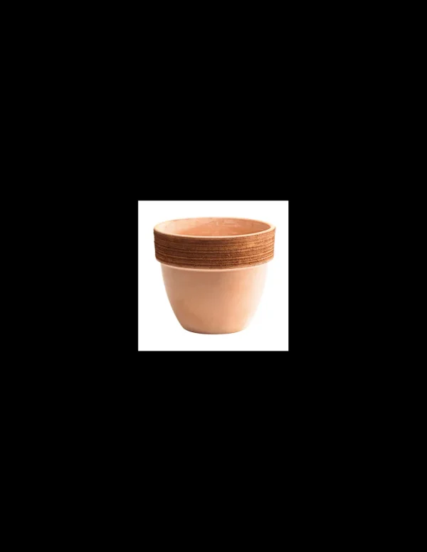 tarvisium vaso patavium anticato graffiato 20cm