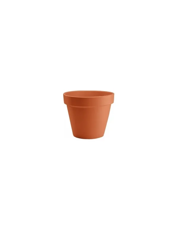 tarvisium vaso standard 6cm