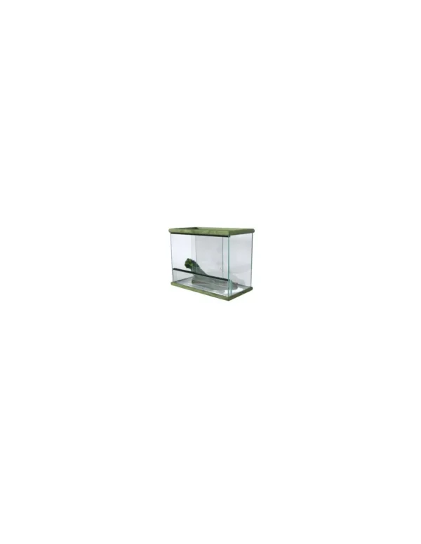terrario in vetro bordi in legno 60x30x38cm r.10075260