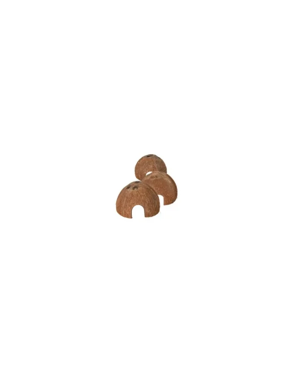 tx76160 acq guscio noce di cocco