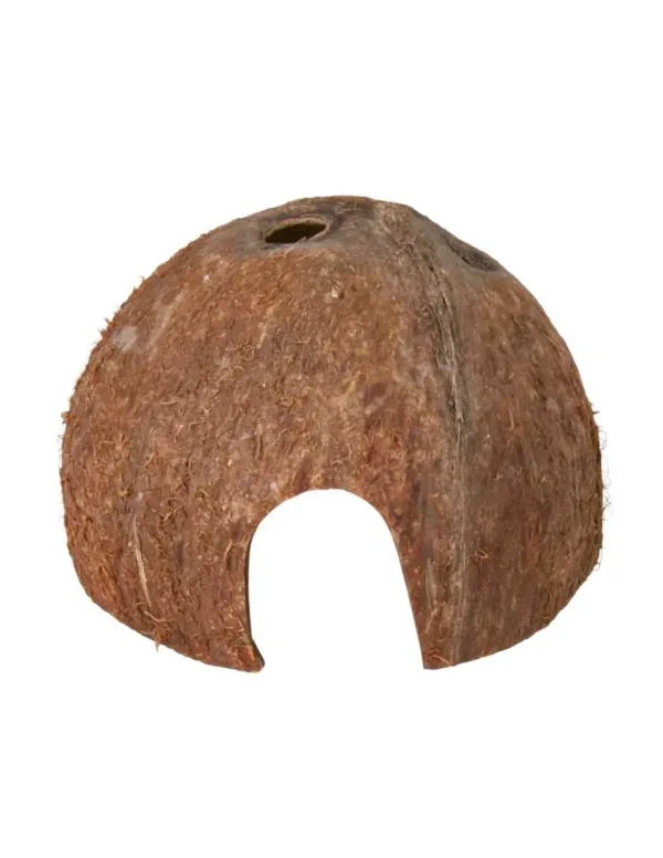 tx76160 acq guscio noce di cocco