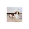 tx19501 dog calze per cani antiscivolo xs-s 2 pezzi grigio