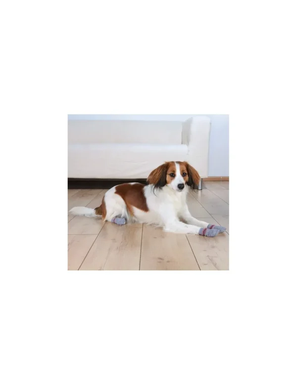 tx19502 dog calze per cani antiscivolo s-m 2 pezzi