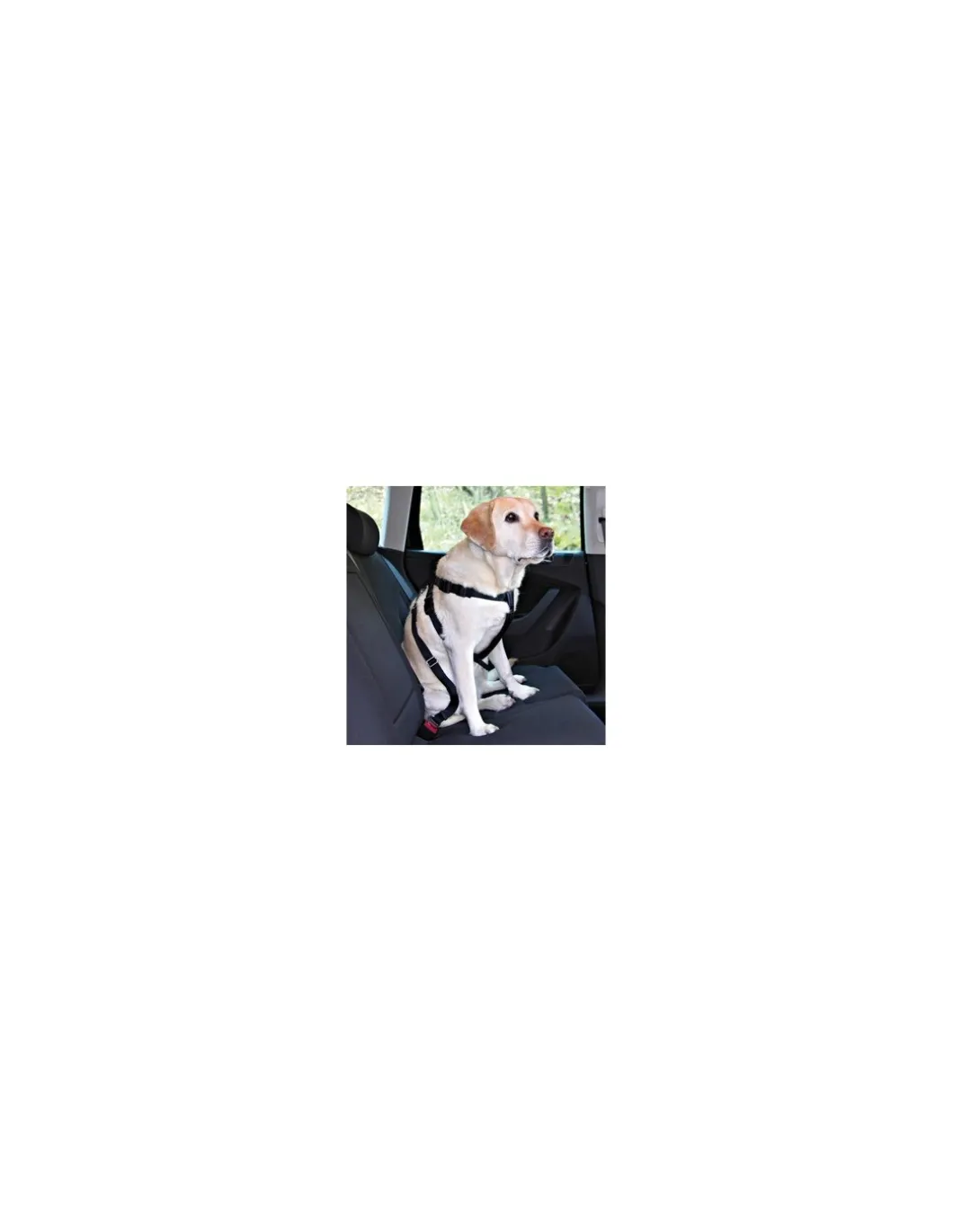 tx_dog_cintura_di_sicurez_0-3.webp tx1293 dog cintura di sicurezza per auto tg xl