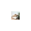 tx37181 dog coperta barney beige 150x100cm