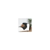 tx37192 dog coperta beany nera c/ossi in pile 100x70cm