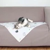 tx37168 dog coperta mimi 70x50cm grigio