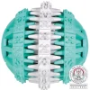 tx32941 dog gioco denta fun palla in gomma menta 6cm