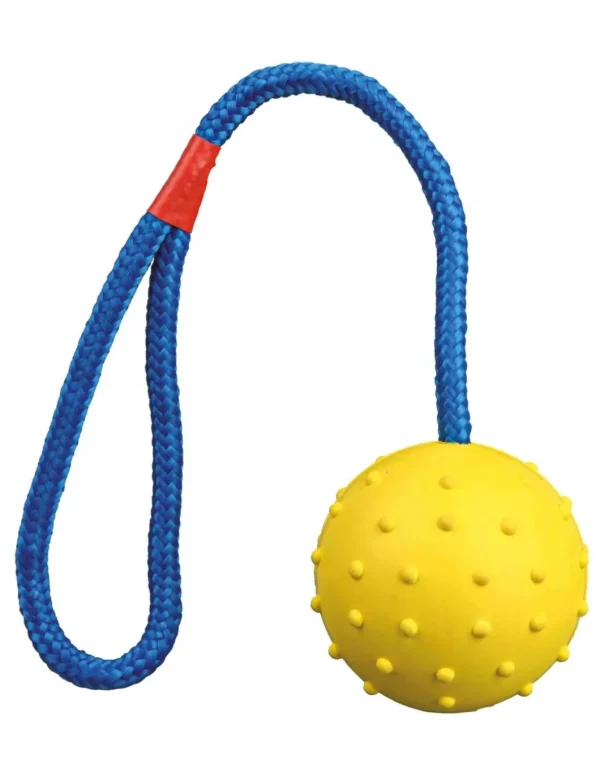 tx3305 dog gioco palla in gomma con corda d6x30cm