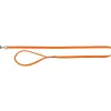 tx200318 dog guinzaglio premium mis.l-xl 1m/25mm arancio