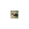 tx1925 dog museruola in nylon tg l-xl