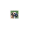 tx19264 dog museruola in nylon-rete tg 4 l