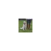 tx13005 dog museruola top trainer tg 5-l-xl