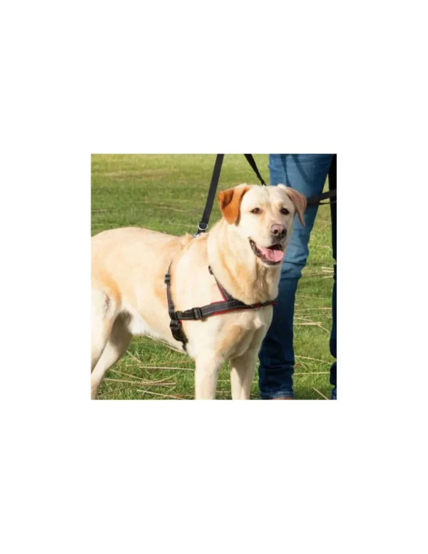 tx13056 dog pettorina lead'n'walk soft tg m-l