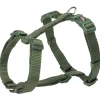tx203319 dog pettorina premium ad h mis.s-m 42-60cm/15mm foresta