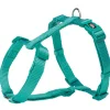 tx203312 dog pettorina premium ad h mis.s-m 42-60cm/15mm acquamarina