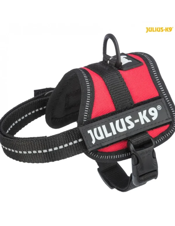 tx150703 pettorina julius k9 power mis.baby1/xs rosso