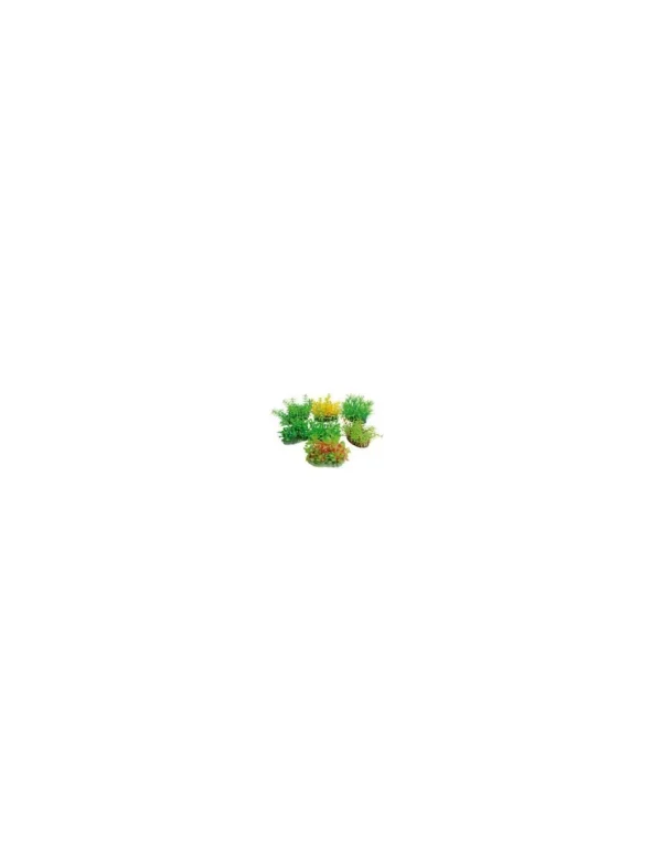 wave tropical plants 8cm