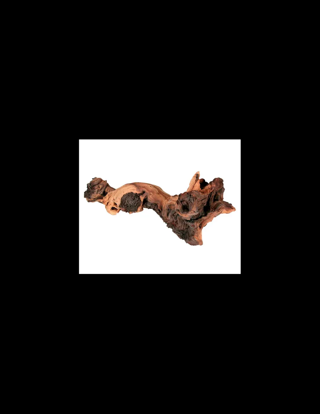 zolux_legno_mopani_extra__2.webp zolux legno mopani extra large r.356016