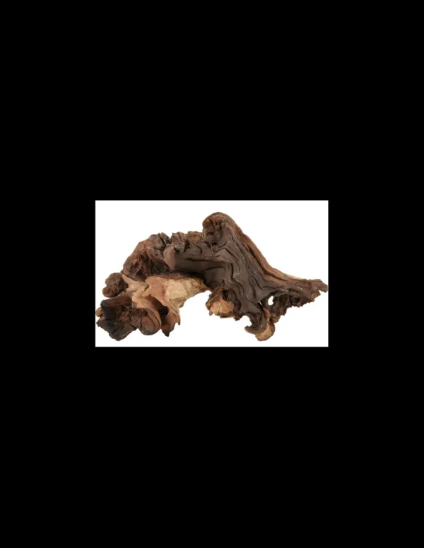 zolux legno mopani large r.356014