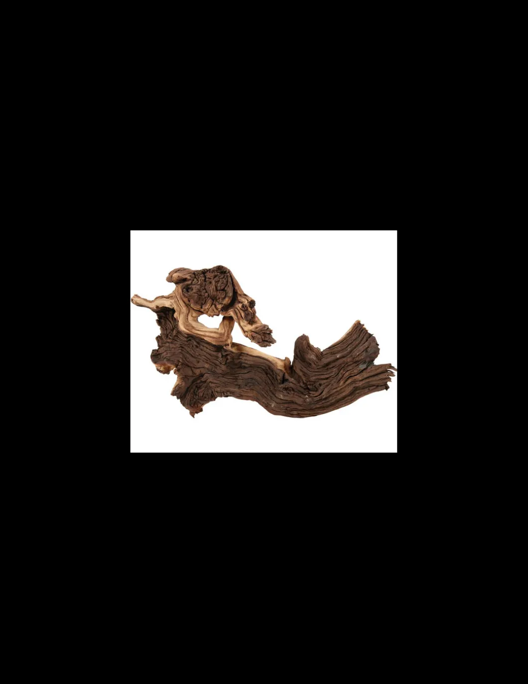 zolux_legno_mopani_large__2.webp zolux legno mopani large r.356014