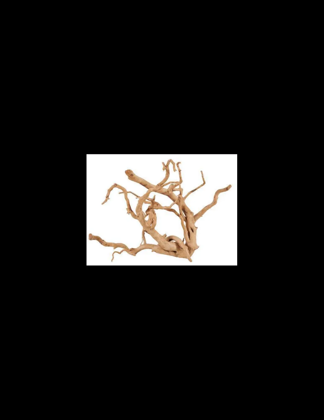 zolux_legno_racine_araign_0-4.webp zolux legno racine araignee red wood 50-60cm 356053