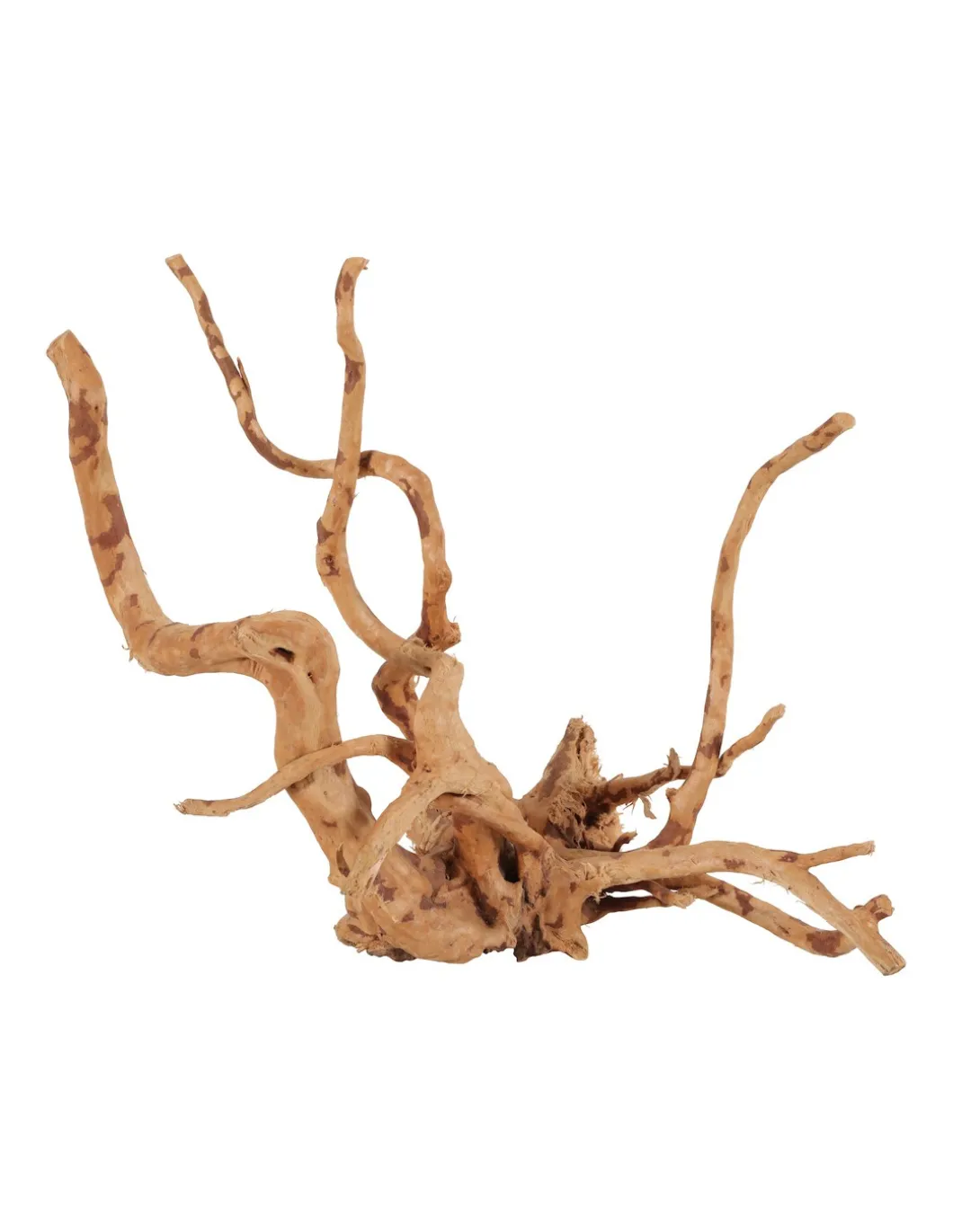 zolux_legno_racine_araign_0.webp ZOLUX LEGNO RACINE ARAIGNEE RED WOOD +60CM 356054