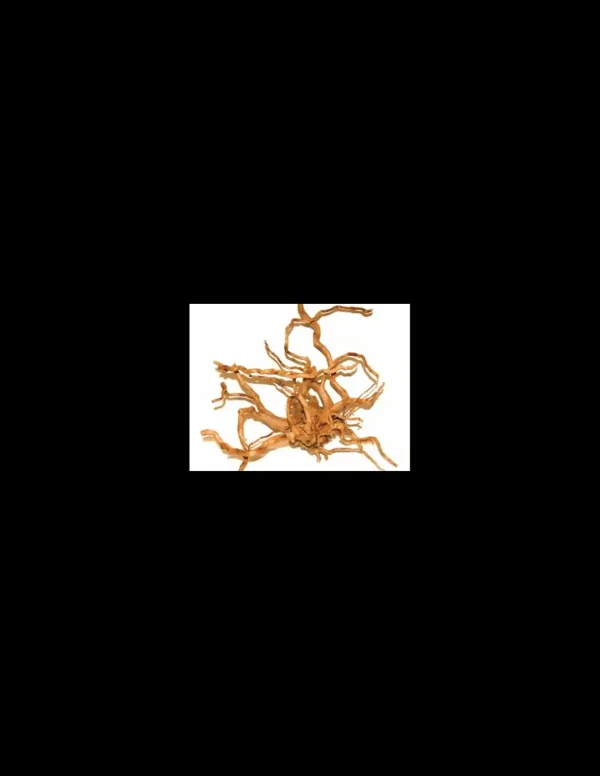 ZOLUX LEGNO RACINE ARAIGNEE RED WOOD +60CM 356054