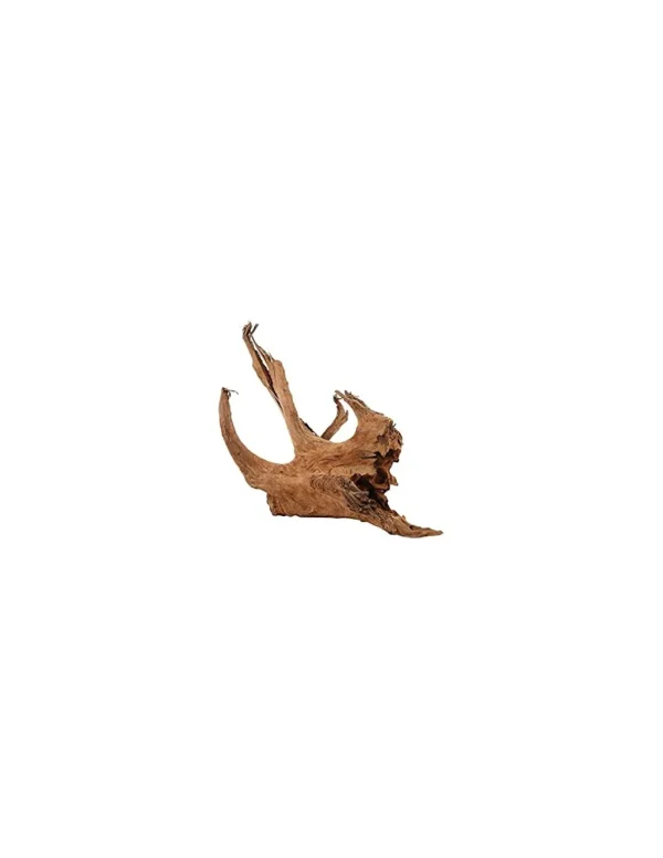 zolux legno racine mangrove large 50-65 356035