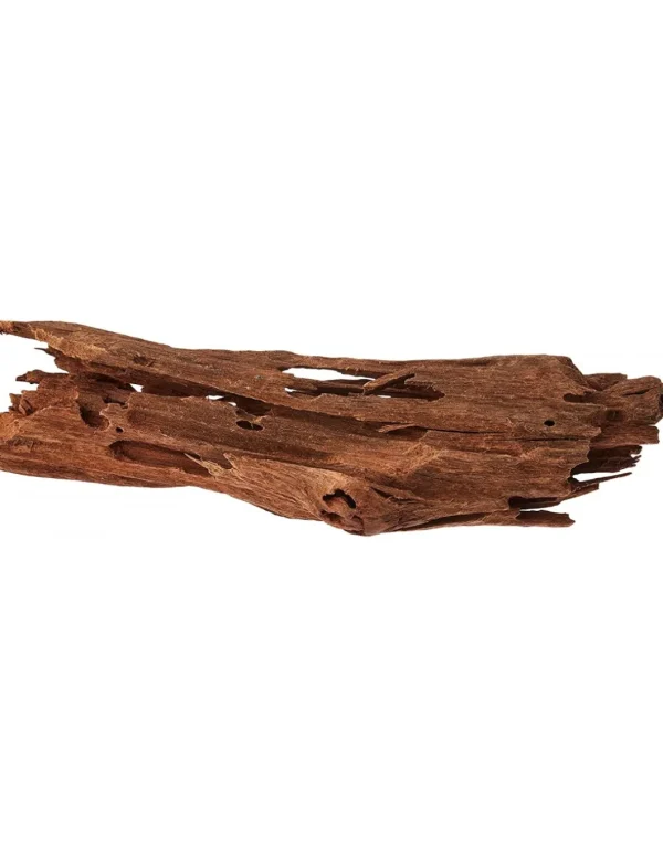 zolux legno racine mangrove medium 25-33cm 356030