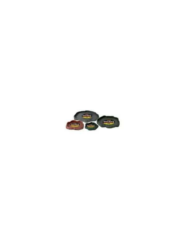 zoomed repti rock mangiatoia medium