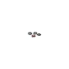 zoomed repti rock piscina small