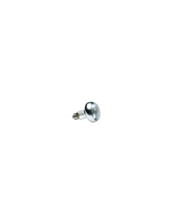 zoomed repty basking spot lamp 60w