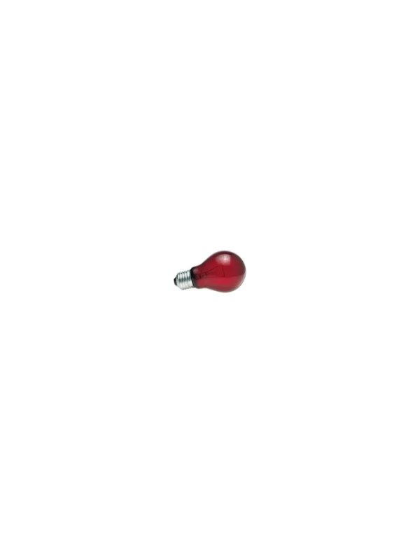 zoomed repty nightlight lamp 60w